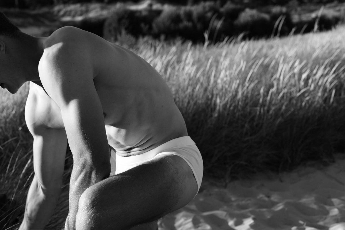 THE WHITE BRIEFS 