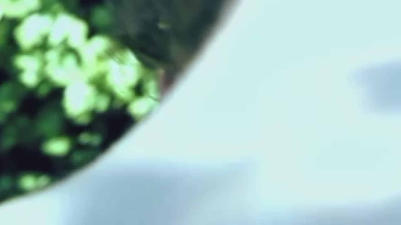 Load video: FOR YOUR PERSONAL PLEASURE